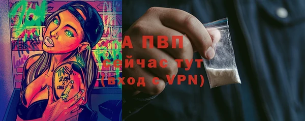 apvp Вязьма